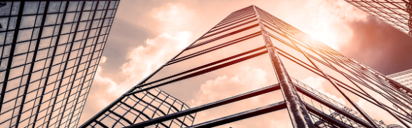 Country-by-Country Reporting (CbCR)