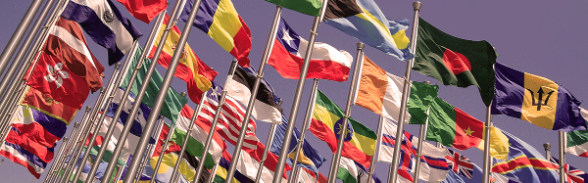 Staatenbezogene Steuerinformationen